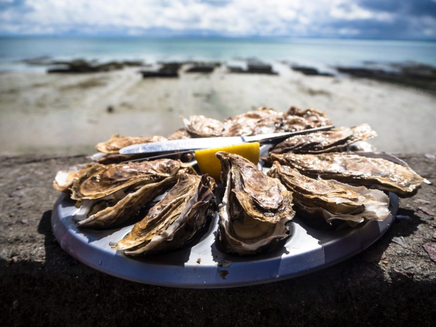 Prairie Oyster Hangover Cure